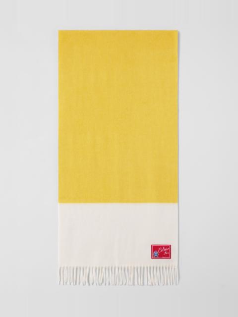 CELINE BICOLOR CASHMERE SCARF