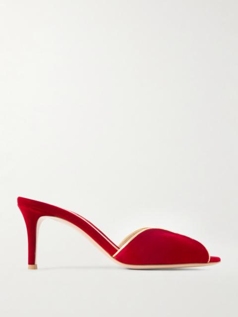 Gianvito Rossi 70 Leather-trimmed Velvet Mules
