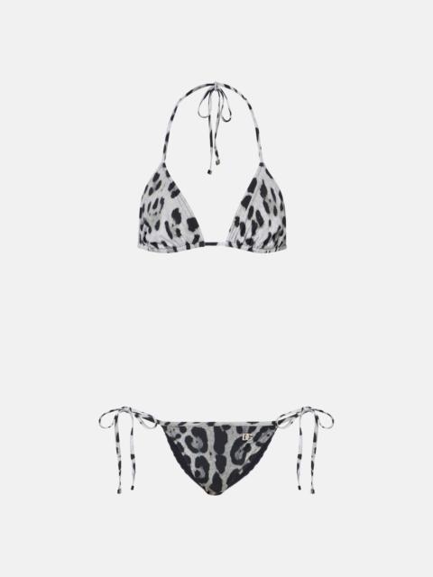 Dolce & Gabbana Leopard-print bikini