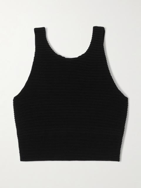 Aje. Agave Cropped Ribbed-knit Top