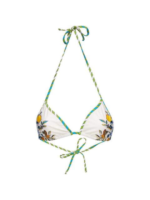 La DoubleJ floral-print halterneck bikini top