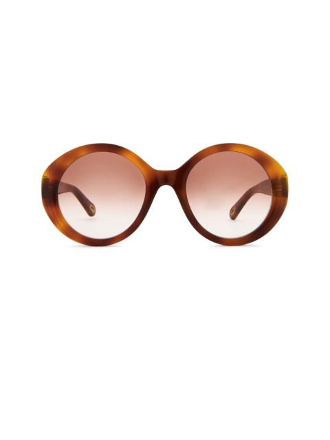 Chloé Marci Sunglasses