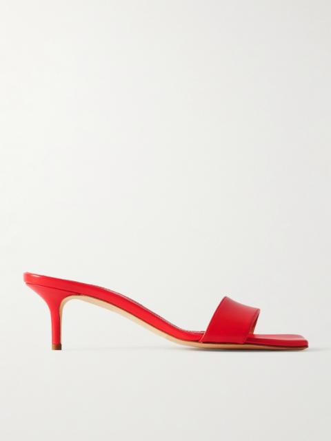 Aeyde Ilvy Leather Mules