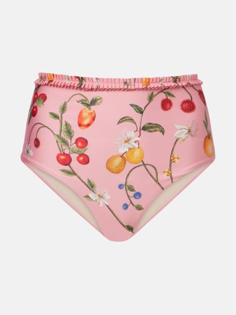 Agua by Agua Bendita Nopal printed bikini bottoms