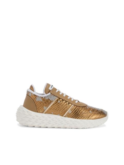 Urchin trainers