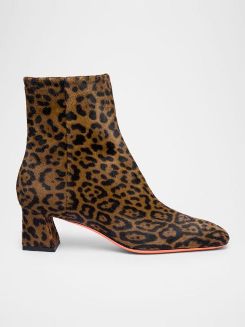 Santoni Marta Leopard Block Heel Booties