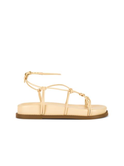 SCHUTZ Calabria Sporty Sandal