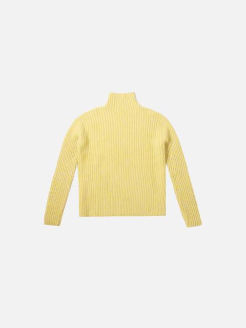 The Elder Statesman JUMBO RIB TURTLENECK