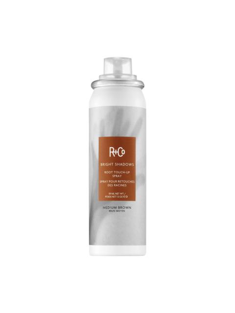 R+Co Bright Shadows Root Touch Up Spray - Medium Brown