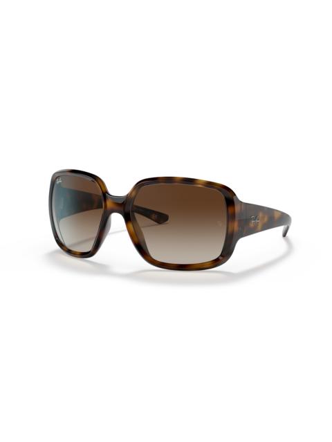 Ray-Ban RB4347