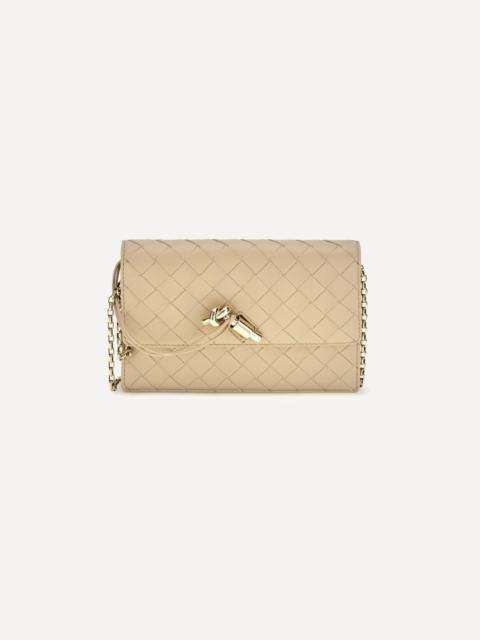 Bottega Veneta Andiamo Pouch on Chain