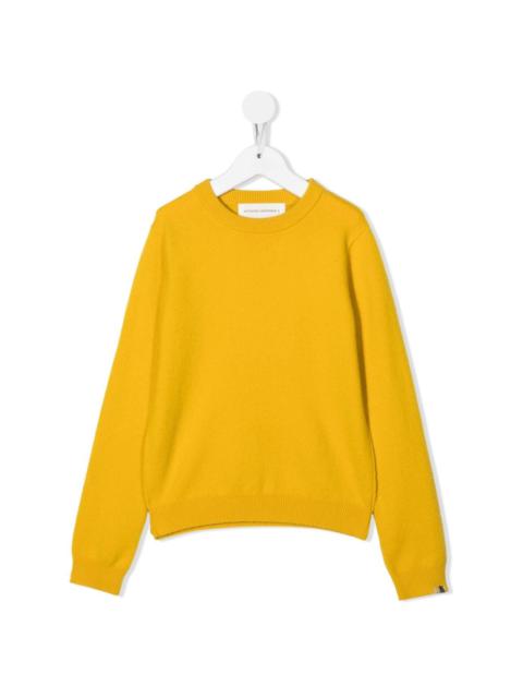 extreme cashmere ribbed-knit long-sleeved jumper