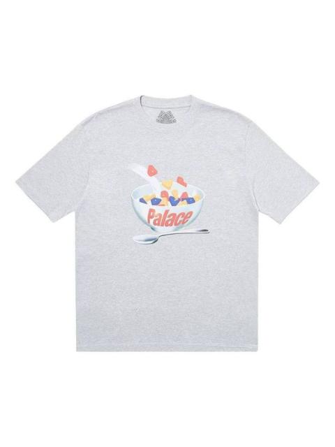 PALACE 궁전 매력 T 셔츠 'Grey Marl' P18TS108