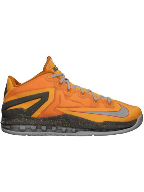 Nike LeBron 11 Low Floridian