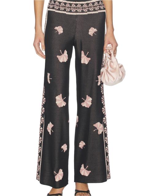 MISA Nuela Pant