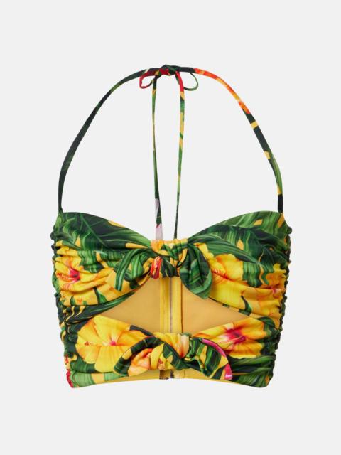 Dolce & Gabbana Cutout floral halterneck crop top