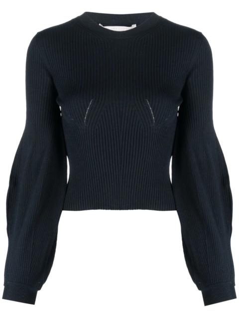 Stella McCartney 늑골 니트 crewneck 점퍼