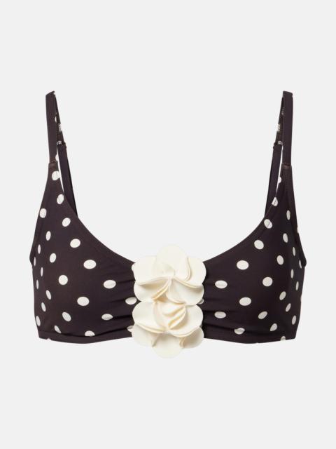 KARLA COLLETTO Floral-appliqué polka-dot bikini top