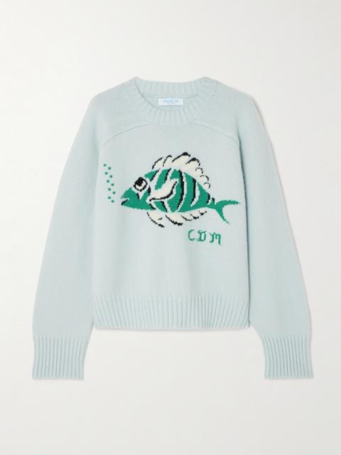 CALLE DEL MAR Intarsia-knit Cashmere Sweater