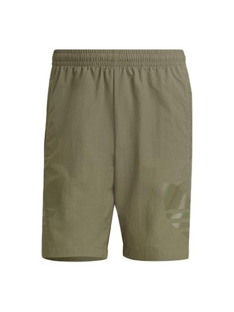 adidas adidas originals Tricolor Short2 Printing Sports Short Pant Male Green HA2484