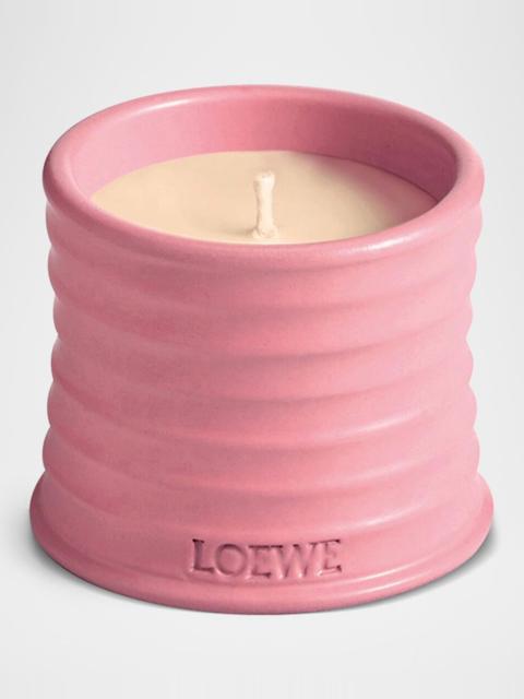Loewe Small Ivy Candle, 5.8 oz.