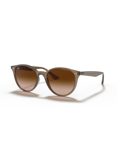 Ray-Ban 사이트맵