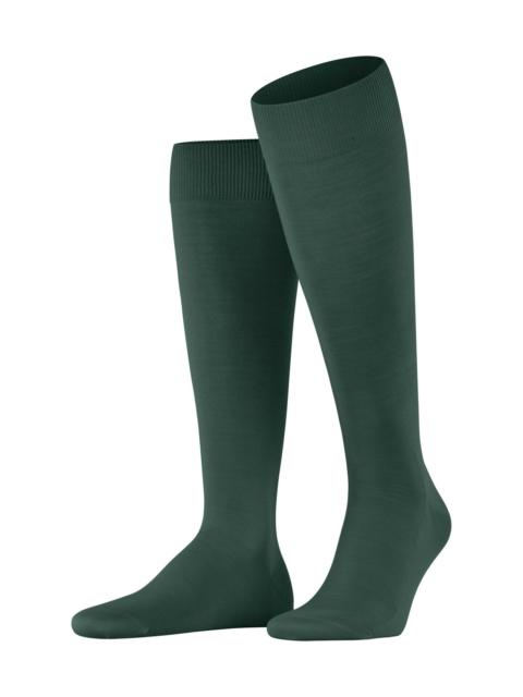 FALKE ClimaWool Men Knee-high socks
