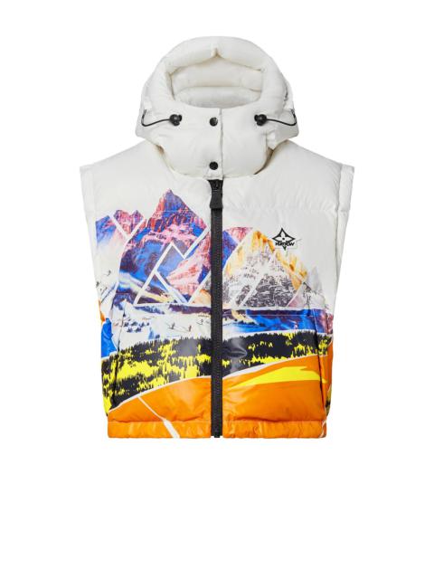Louis Vuitton Mountain Print Sleeveless Puffer Jacket