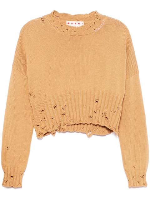 Marni cropped sweater