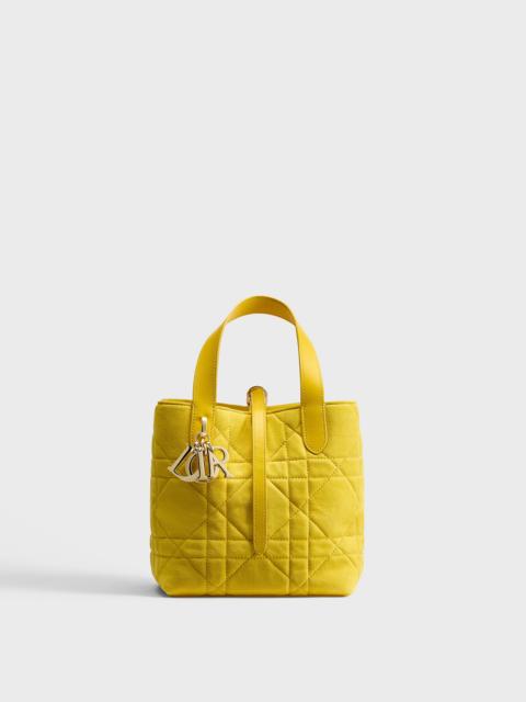 Dior Small Dior Toujours Vertical Tote Bag