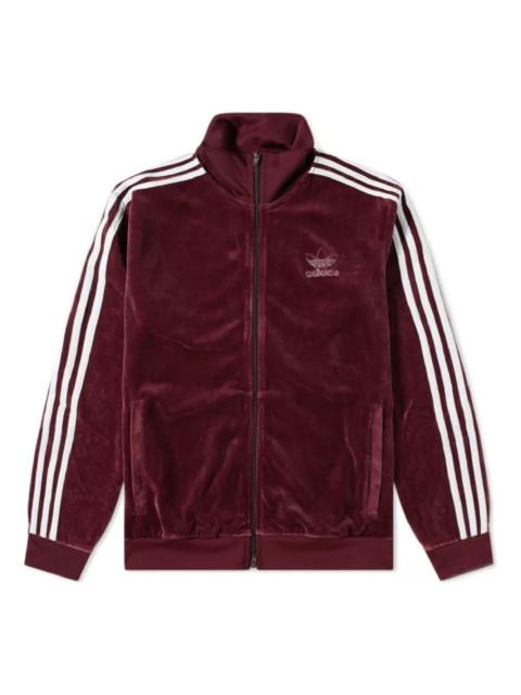 adidas originals Velour Track Jacket DH5789