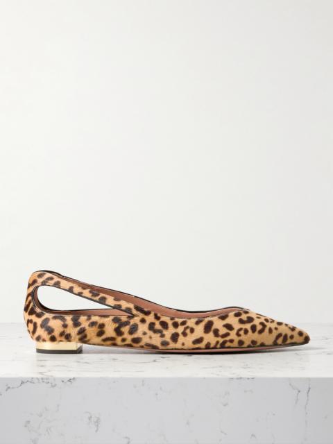 AQUAZZURA Sheeva Cutout Leopard-print Calf Hair Point-toe Flats