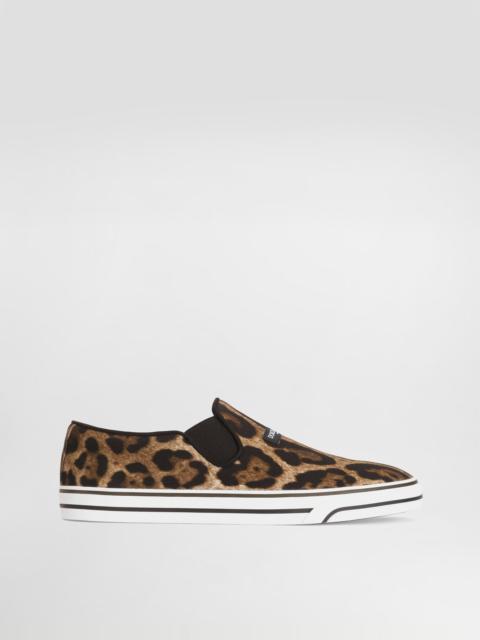 Dolce & Gabbana Leo-print canvas dg sailing sneakers