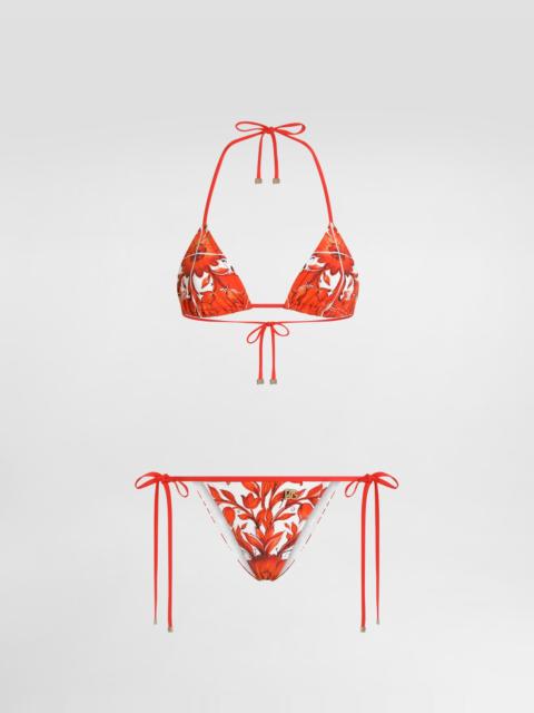 Dolce & Gabbana Majolica-print bikini