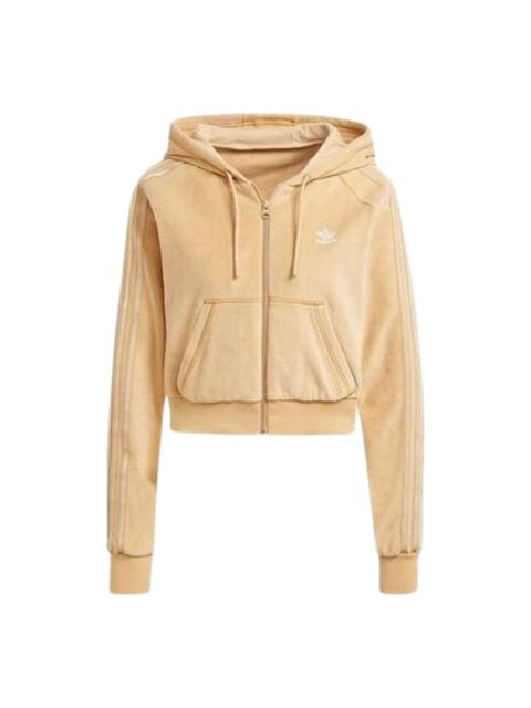 adidas (WMNS) adidas Cropped Full Zip Hoodie Asia Sizing 'Orange' H18826