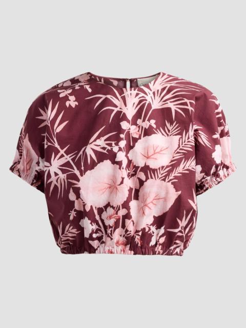 Cara Cara Women's Bari Printed Poplin Crop Top - Paradise Blush
