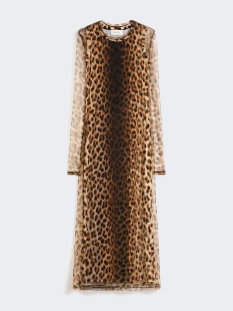 Sportmax Fitted tulle jersey dress - beige shaded