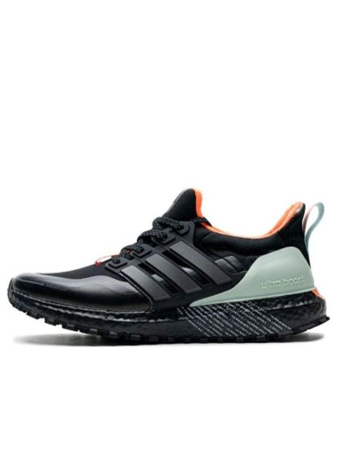 adidas adidas UltraBoost Guard 'Green Tint' FW7759