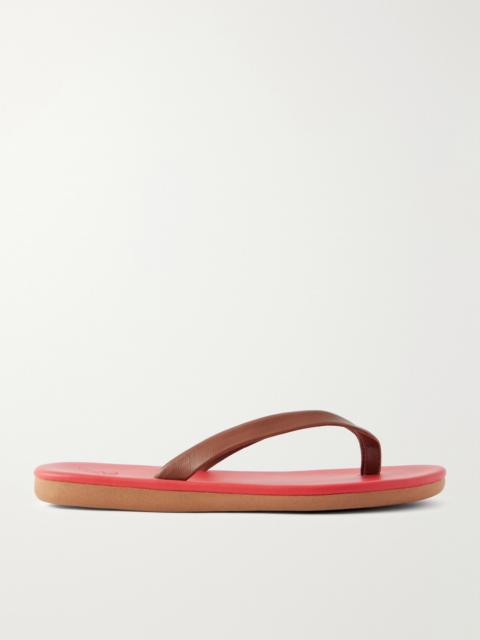 ANCIENT GREEK SANDALS Saionara Leather Flip Flops