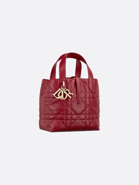 Dior Small Dior Toujours Vertical Tote Bag