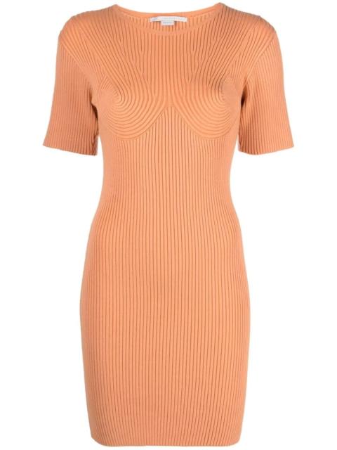 Stella McCartney rib-detail bodycon dress