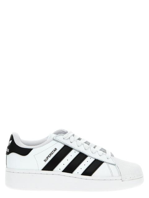 Superstar Xlg Sneakers White/Black