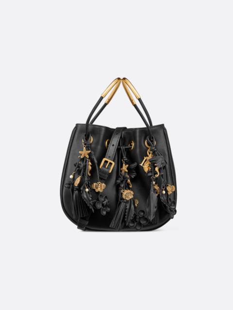 Dior Small Dior Nolita Bag