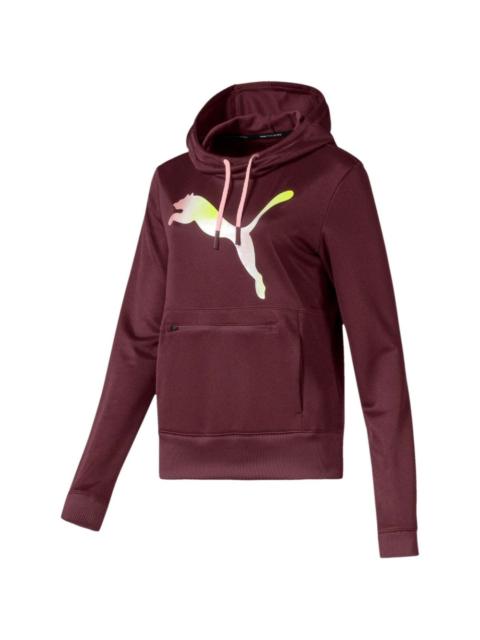 PUMA Training hoodie