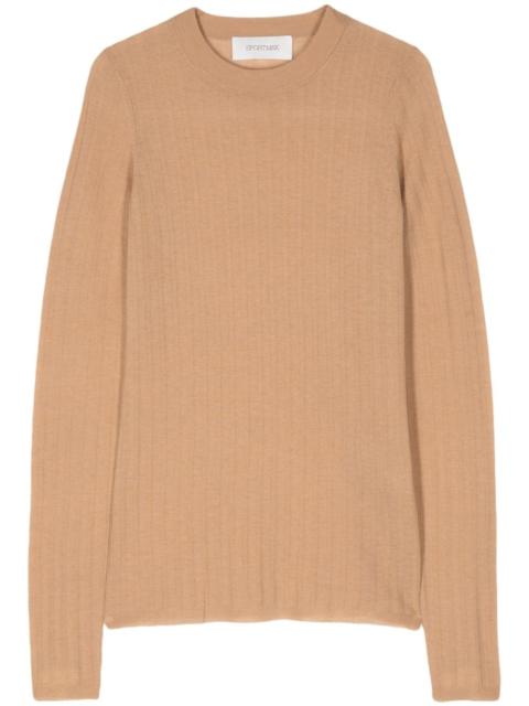 Sportmax Odissea sleeveless knitted top