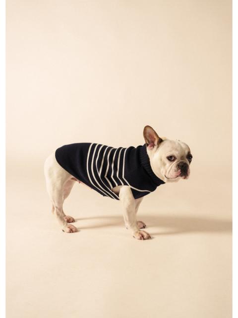 SAINT JAMES PARISIAN PUP Glowline Sweater