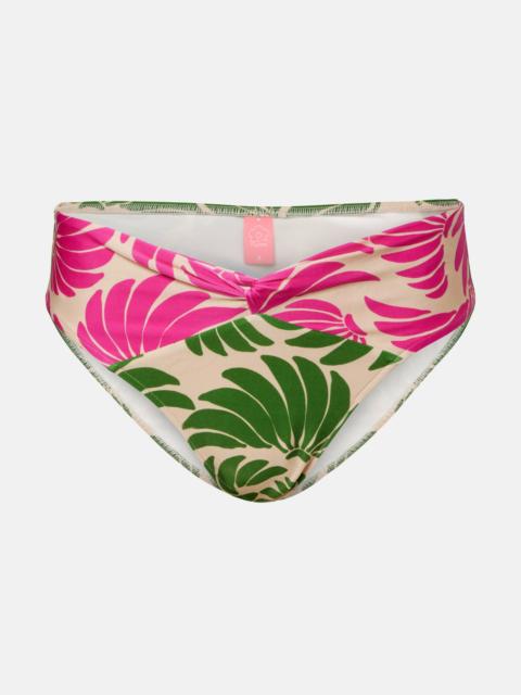 FARM RIO Floral bikini bottoms