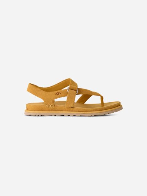 UGG ® Women's GoldenGaze Toe Post Suede Sandals in Wheat Field