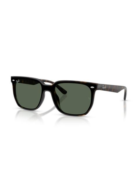 Ray-Ban RB4466D