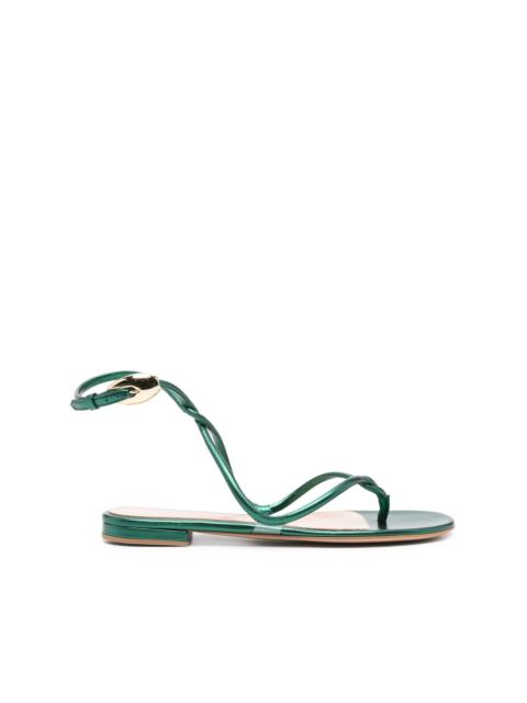 Gianvito Rossi Black Mamba flat sandals